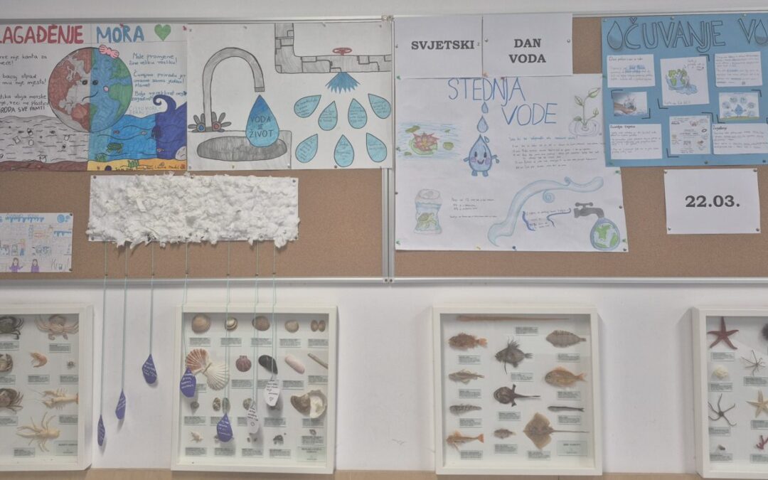 Projekt: Svaka kap je bitna